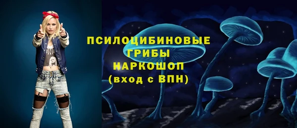 бутират Осинники